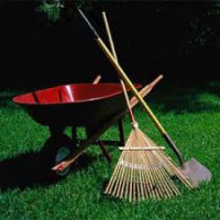 /album/fotogaleria-jardineria-y-paisajismo/images-12-jpg/
